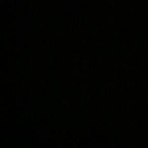 Meet your Posher, Kat